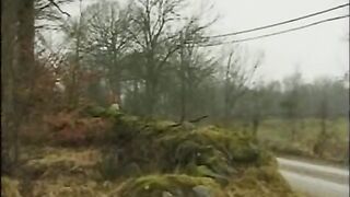 Svenska Nyborjare 7 (1999)