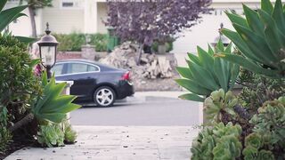 Kenzie Taylor The Lollipop - Wicked