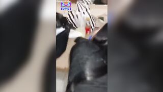 Ngewe Sambil Ngobrol Bikin Nagih.mp4