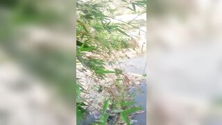 village local bhabhi outdoor sex video